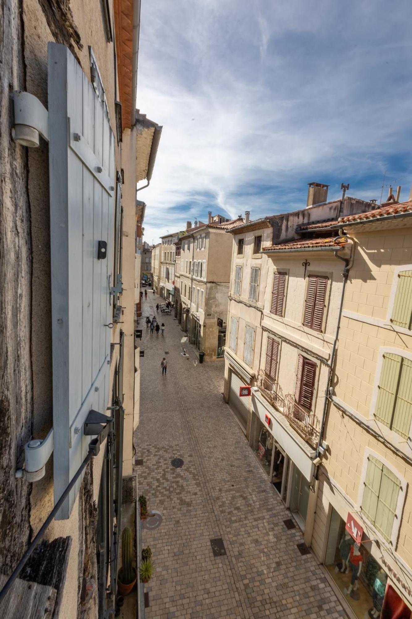 Le Canope - T3 Duplex, 2 Salles D'Eau, Hypercentre Castres  Exterior foto